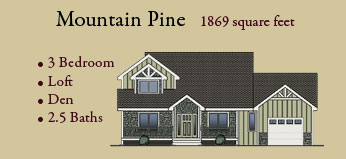 Mountain Pine