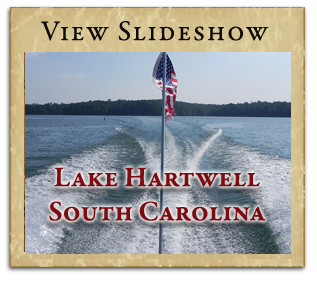 View Slideshow Gallery