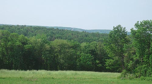 Kuehner Field Estates